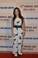 Amy Billimoria at Children_s welfare function in Andheri, Mumbai on 15th Feb 2014 (41)_53005f2d396c9.JPG