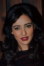 Neha Sharma at the Promotion of Youngistaan at the 2014 Goa Carnival on 17th Feb 2014 (146)_5302f5a5a332b.JPG