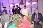Hema Malini at Miraj Group_s Madan Paliwal_s daughter Devdhooti and Vikas Purohit_s reception in Udaipur on 18th Feb 2014 (86)_5305c95e63abe.JPG