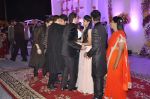Neil Mukesh, Nitin Mukesh at Miraj Group_s Madan Paliwal_s daughter Devdhooti and Vikas Purohit_s reception in Udaipur on 18th Feb 2014 (269)_5305c9cd84508.JPG