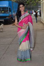Sakshi Tanwar on the sets of Bade Acche Lagte Hain in Mumbai on 20th Feb 2014 (183)_5306f860d8ec9.JPG