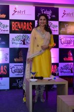Madhuri Dixit during the press conference of the bollywod movie Gulaab Gang at Pipal Tree Hotel on 21st Feb 2014 (3)_5308372be2e9d.JPG