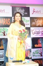 Madhuri Dixit during the press conference of the bollywod movie Gulaab Gang at Pipal Tree Hotel on 21st Feb 2014 (4)_5308372c3b9fc.JPG