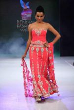 Reshmi Ghosh walks for designer AD Singh at Bengal Fashion Week day 2 on 22nd Feb 2014 (24)_5309f4ced23b9.jpg