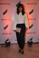 Manasi Scott at Absolut Elyx in Palladium, Mumbai on 23rd Feb 2014 (21)_530aeaddc188e.JPG