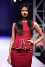 Model walk the ramp for Aslam Khan at Bengal Fashion Week on 23rd Feb 2014 (10)_530c9f01d4c83.jpg