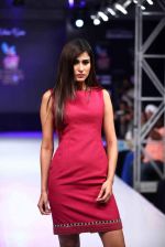 Model walk the ramp for Aslam Khan at Bengal Fashion Week on 23rd Feb 2014 (12)_530c9f0293f70.jpg