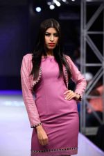 Model walk the ramp for Aslam Khan at Bengal Fashion Week on 23rd Feb 2014 (14)_530c9f034faa8.jpg