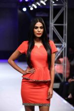 Model walk the ramp for Aslam Khan at Bengal Fashion Week on 23rd Feb 2014 (21)_530c9f05c0ff7.jpg