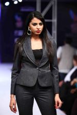 Model walk the ramp for Aslam Khan at Bengal Fashion Week on 23rd Feb 2014 (35)_530c9f0c80f2d.jpg