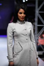 Model walk the ramp for Aslam Khan at Bengal Fashion Week on 23rd Feb 2014 (4)_530c9effa1e47.jpg