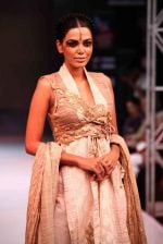 Model walk the ramp for Mona Pali at Bengal Fashion Week on 23rd Feb 2014 (5)_530c9f0d429a2.jpg