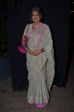 Dolly Thakore at Zakir Hussain_s concert in Prithvi, Mumbai on 28th Feb 2014 (71)_531185f2e04ea.JPG