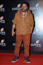 Anil Sharma at Colors red carpet in Grand Hyatt, Mumbai on 1st March 2014 (206)_5312fc6b8b614.JPG