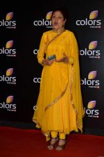 Aruna Irani at Colors red carpet in Grand Hyatt, Mumbai on 1st March 2014 (400)_5312fddbcb656.JPG