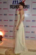 Kalki Koechlin at Cosmopolitan Max Fashion Icon grand finale in Delhi on 6th March 2014 (62)_5319cd015f011.JPG