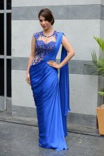 Sophie Chaudhary on Day 4 at LFW 2014 in Grand Hyatt, Mumbai on 15th March 2014 (477)_5326c67875022.JPG