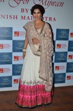 Sophie Chaudhary at the red carpet for Manish Malhotra Show Men for Mijwan in Mumbai on 1st April 2014  (198)_533bf2a91bab2.JPG