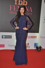 at Femina Miss India red carpet arrivals in YRF, Mumbai on 5th april 2014 (144)_534363b73b67d.JPG