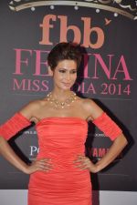at Femina Miss India red carpet arrivals in YRF, Mumbai on 5th april 2014 (153)_534363d8570d6.JPG