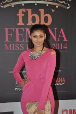 at Femina Miss India red carpet arrivals in YRF, Mumbai on 5th april 2014 (46)_534362edc3c43.JPG