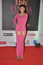 at Femina Miss India red carpet arrivals in YRF, Mumbai on 5th april 2014 (47)_5343630a83021.JPG
