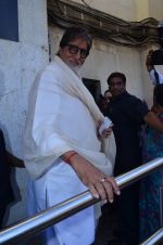 Amitabh Bachchan at Bombay To Goa special screening in PVR, Mumbai on 12th April 2014 (73)_534a1a2f2c709.JPG
