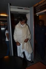 Amitabh Bachchan at Bombay To Goa special screening in PVR, Mumbai on 12th April 2014 (76)_534a1a481944f.JPG