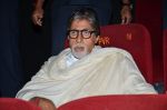 Amitabh Bachchan at Bombay To Goa special screening in PVR, Mumbai on 12th April 2014 (96)_534a1af9b4922.JPG