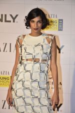 Anushka Manchanda at Grazia Young awards red carpet in Mumbai on 13th April 2014 (283)_534b7abbe99ee.JPG