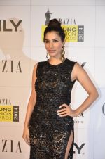 Sophie Chaudhary at Grazia Young awards red carpet in Mumbai on 13th April 2014 (205)_534bb7af4eda8.JPG