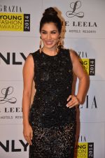 Sophie Chaudhary at Grazia Young awards red carpet in Mumbai on 13th April 2014 (518)_534bb7bfd88e5.JPG