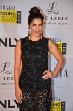Sophie Chaudhary at Grazia Young awards red carpet in Mumbai on 13th April 2014 (523)_534bb7e824041.JPG
