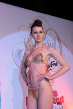 at Sports Illustrated swimsuit issue launch in Royalty, Mumbai on 14th April 2014 (173)_534ce0c626374.JPG