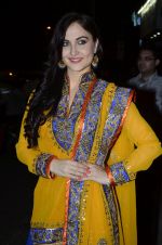 Elli Avram at The Big Door Trunk show in Pali Hill, Mumbai on 18th April 2014 (19)_53533d2dcad4c.JPG
