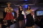 at SNDT_s Chrysallis Fashion Show in Mumbai on 25th April 2014 (10)_535b4f8133c71.JPG