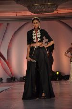 at SNDT_s Chrysallis Fashion Show in Mumbai on 25th April 2014 (144)_535b527944256.JPG