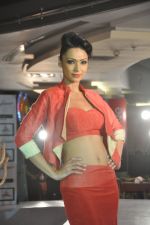at the launch of Signature Collection of Earth 21 in Kurla Phoenix on 26th April 2014 (35)_535df306532f9.JPG
