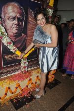 Tanisha Singh at dadasaheb Phalke Awards in Mumbai on 30th April 2014 (73)_536275130899a.JPG