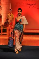 at B D Somani_s Resort Rampage Silhouttes 2014 fashion show by Wendell Rodrigues in Mumbai on 4th May 2014 (22)_53679d4ac545d.JPG