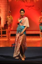 at B D Somani_s Resort Rampage Silhouttes 2014 fashion show by Wendell Rodrigues in Mumbai on 4th May 2014 (24)_53679d4f8fe8e.JPG