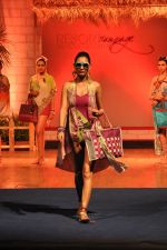 at B D Somani_s Resort Rampage Silhouttes 2014 fashion show by Wendell Rodrigues in Mumbai on 4th May 2014 (25)_53679d528978d.JPG