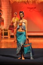 at B D Somani_s Resort Rampage Silhouttes 2014 fashion show by Wendell Rodrigues in Mumbai on 4th May 2014 (33)_53679d6844669.JPG