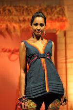 at B D Somani_s Resort Rampage Silhouttes 2014 fashion show by Wendell Rodrigues in Mumbai on 4th May 2014 (40)_53679d7caf58b.JPG
