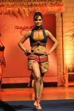 at B D Somani_s Resort Rampage Silhouttes 2014 fashion show by Wendell Rodrigues in Mumbai on 4th May 2014 (41)_53679d7f90d91.JPG