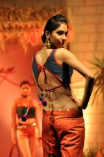 at B D Somani_s Resort Rampage Silhouttes 2014 fashion show by Wendell Rodrigues in Mumbai on 4th May 2014 (43)_53679d84e4363.JPG