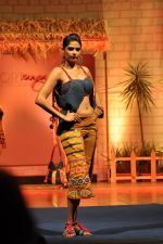 at B D Somani_s Resort Rampage Silhouttes 2014 fashion show by Wendell Rodrigues in Mumbai on 4th May 2014 (44)_53679d87e8308.JPG