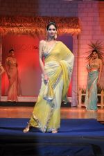 at B D Somani_s Resort Rampage Silhouttes 2014 fashion show by Wendell Rodrigues in Mumbai on 4th May 2014 (67)_53679dcbce880.JPG