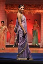 at B D Somani_s Resort Rampage Silhouttes 2014 fashion show by Wendell Rodrigues in Mumbai on 4th May 2014 (68)_53679dcf1358f.JPG