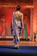 at B D Somani_s Resort Rampage Silhouttes 2014 fashion show by Wendell Rodrigues in Mumbai on 4th May 2014 (69)_53679dd2185e4.JPG